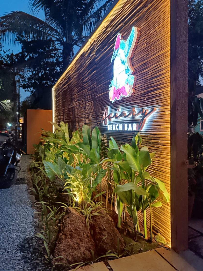 Night-lit planting beds beneath the neon signage at Aviary beach bar, Goa