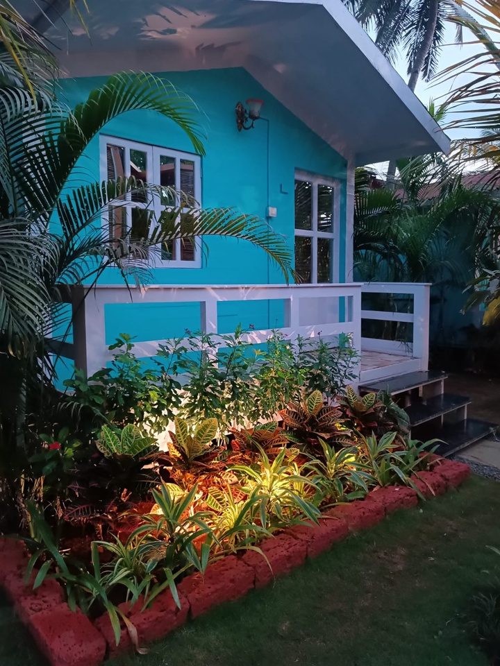 Night-lit planting beds beside the frontage of Aviary beach bar, Goa