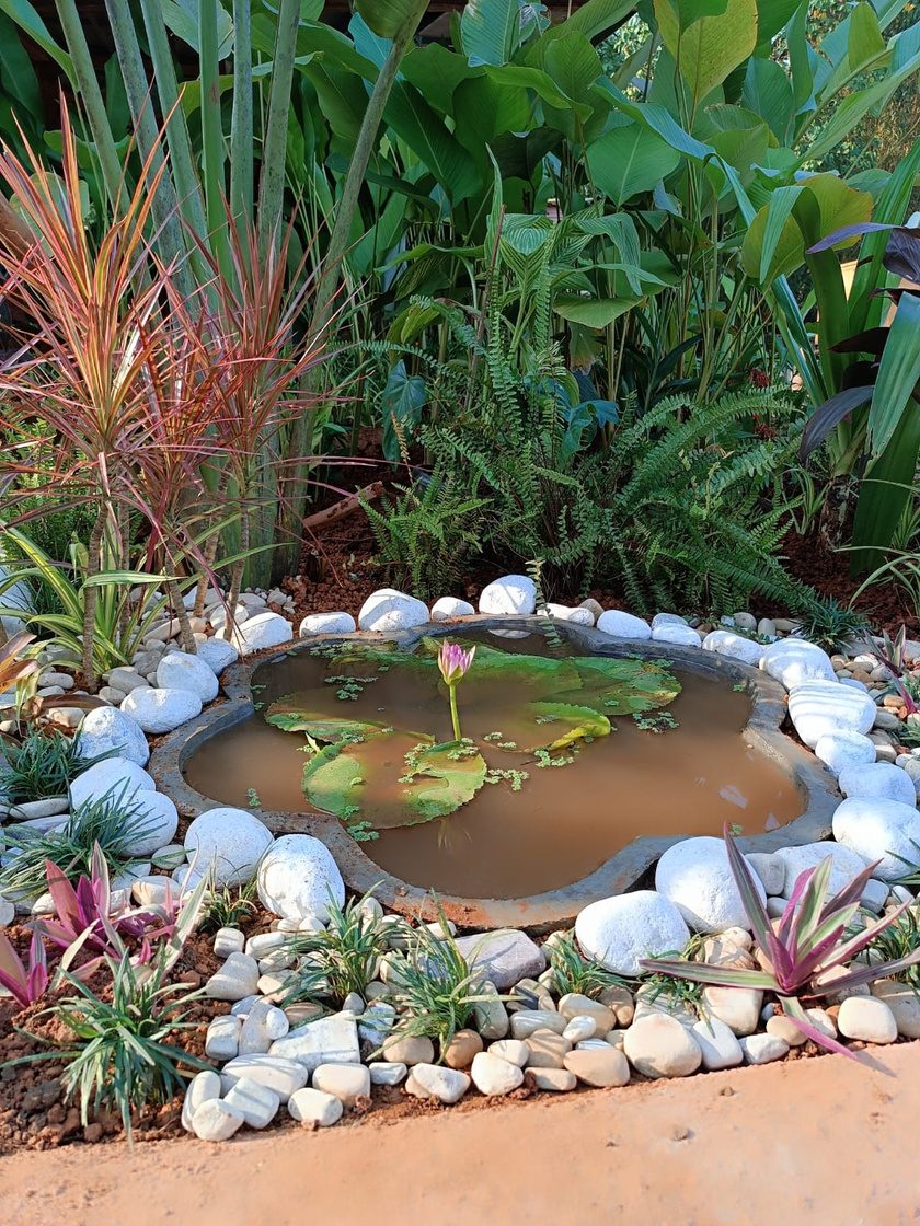 A stone-edged lily pond with white pebbles and tropical planting at Chhupa Rustam, Goa