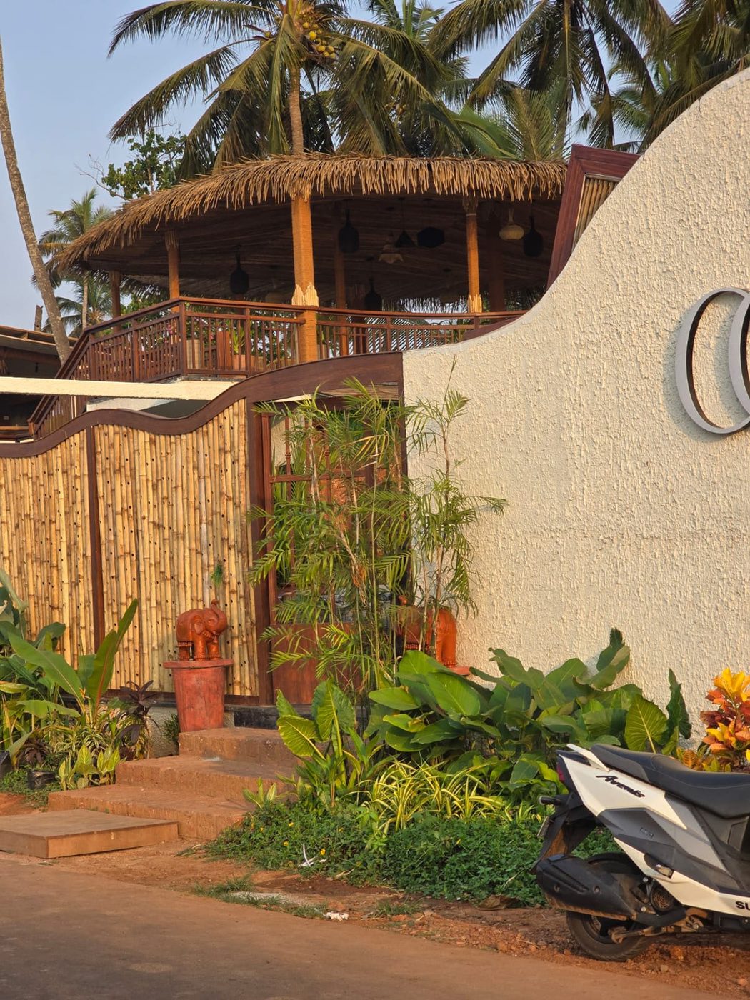 Bamboo structure and planting at Cohin, Goa
