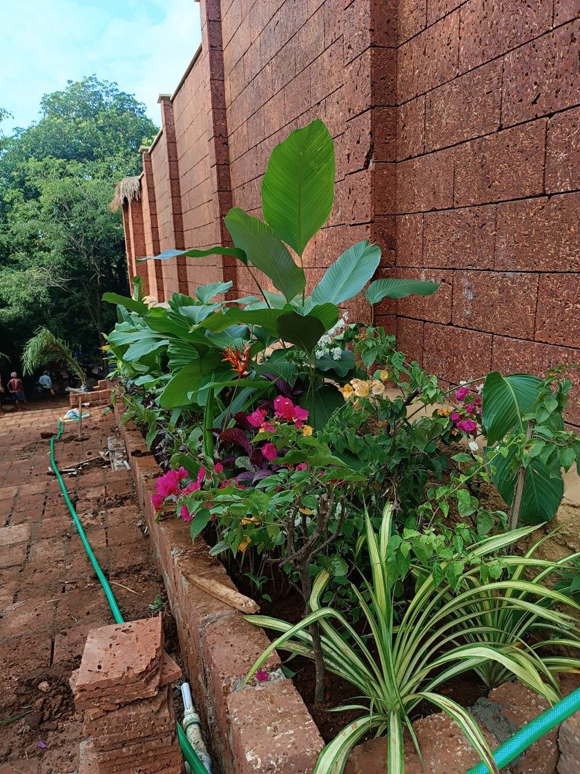 Terraced planting beds against a laterite wall at Diaz, Goa