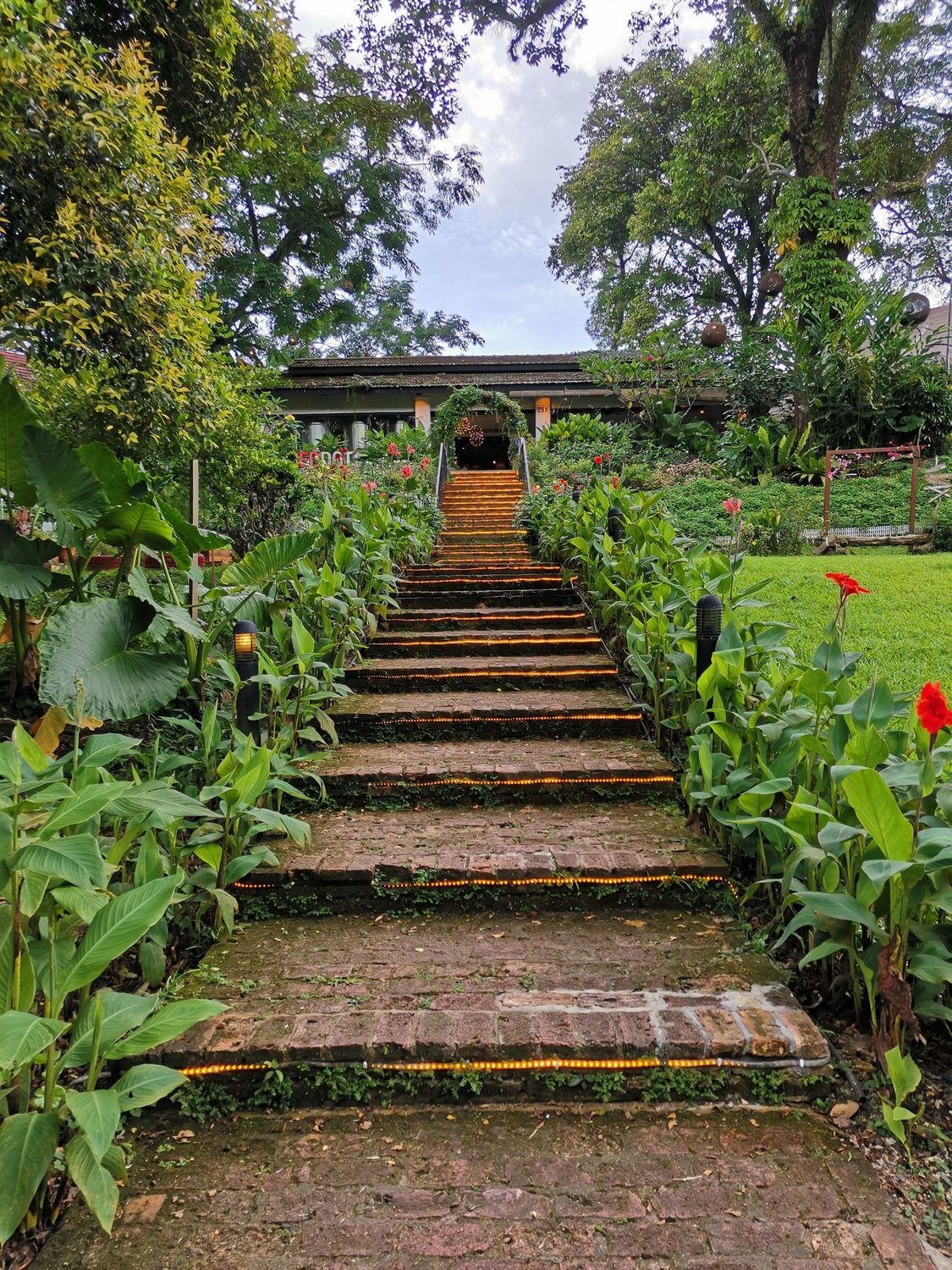 A planted stone stair rising through a Go Green Decor garden in Goa