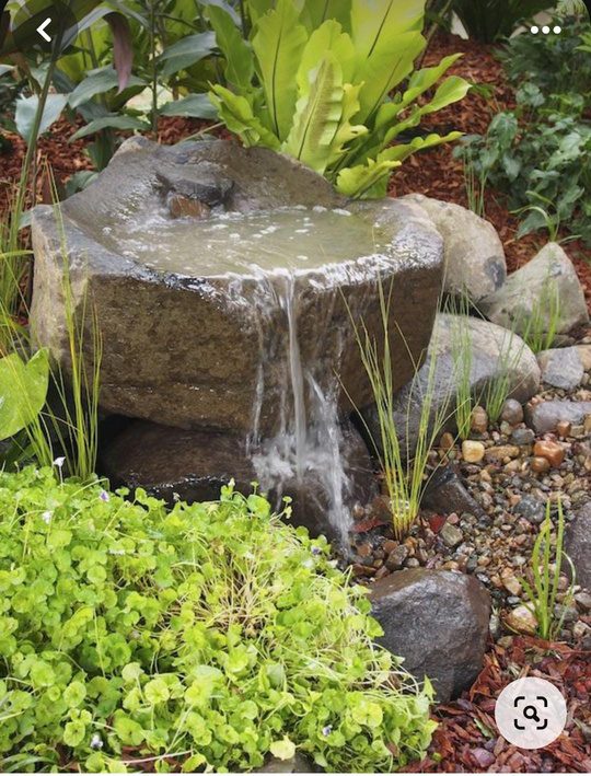 A rock water feature and ground-cover planting in a villa garden at Parra, Goa
