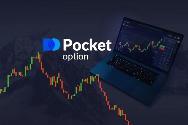 Everything You Need to Know About the Pocket Option Platform Everything You Need to Know About the Pocket Option Platform